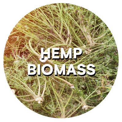 hemp biomass