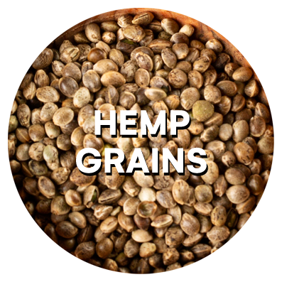 hemp grains